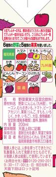 6種類の野菜と5種類の果物を使いました。